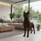 "Karl" Statue Dobermann taille réelle debout